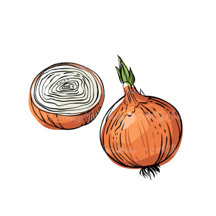 onion seiten 2023