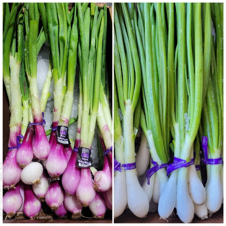 onion link reddit