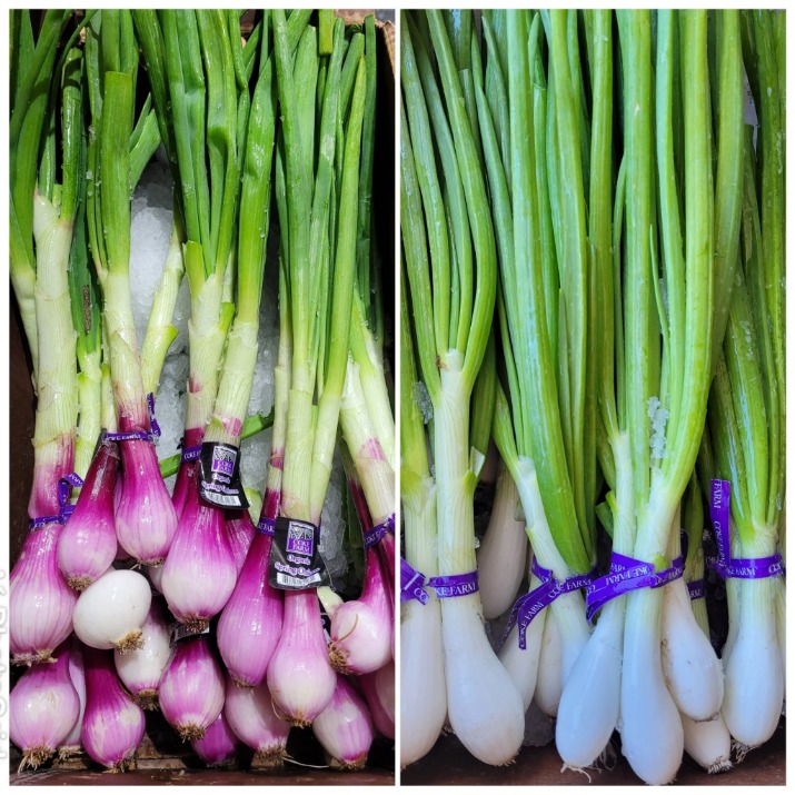 onion domain and kingdom