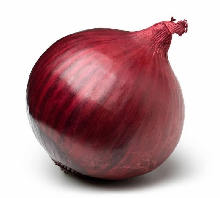 onion domain and kingdom