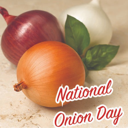 the onion directory