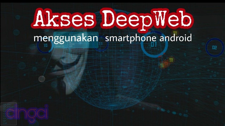 darknet markets up