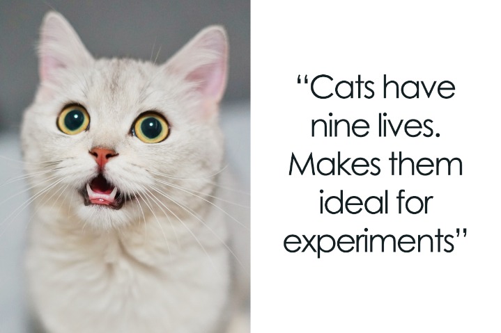 dark web cheap electronics