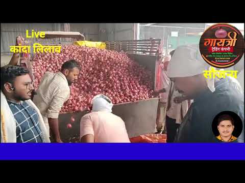 live onion market